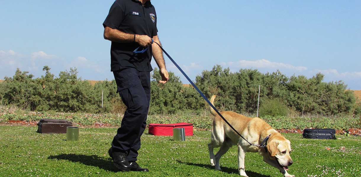 警犬防范